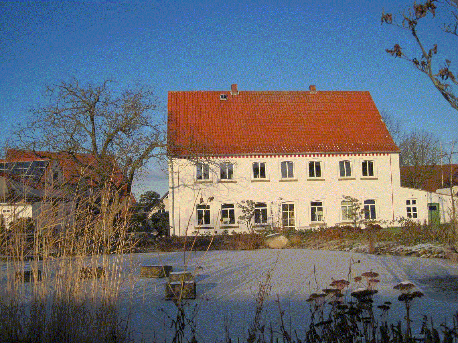 startneu2