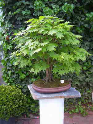 db_100_09671